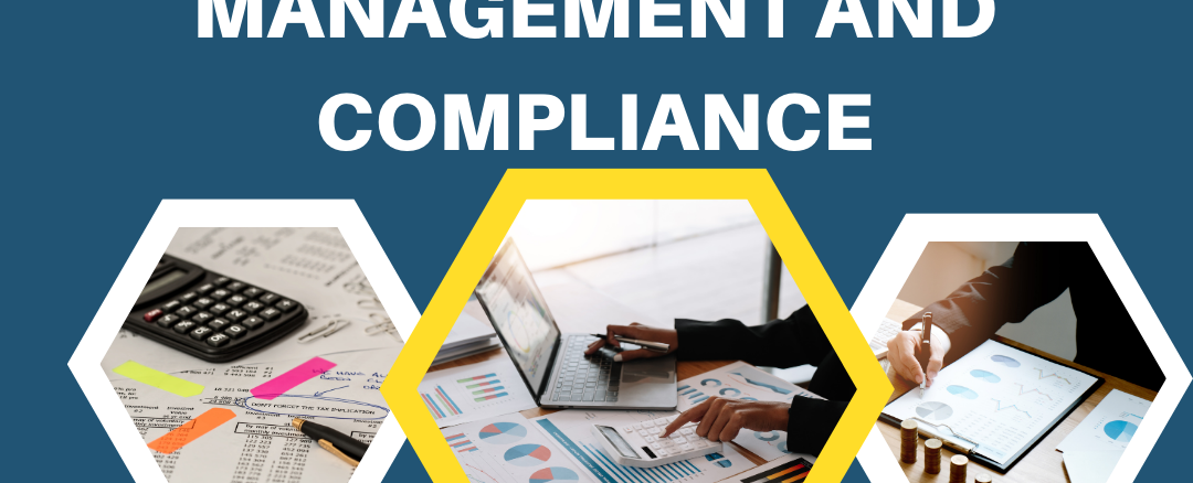 role-of-chartered accountants in risk management compliance services in pune