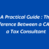 a-practical-guide-the-difference between a ca and a tax consultant