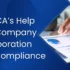 top chartered accountant firms in Pune